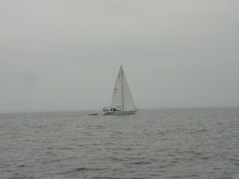 Memorial Day Cruise