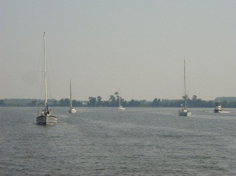 Dividing Creek