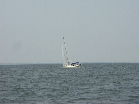 4th of July