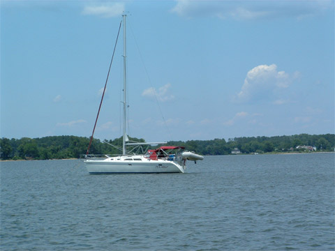 Two Week Cruise