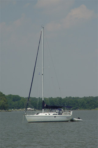 Two Week Cruise