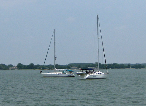 Choptank Cruise