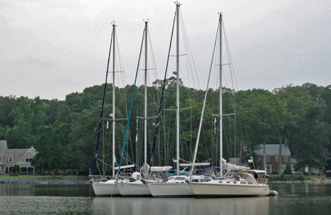 Choptank Cruise