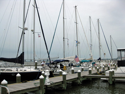 Choptank Cruise