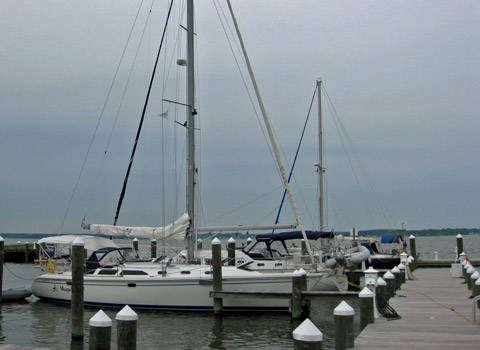 Choptank Cruise